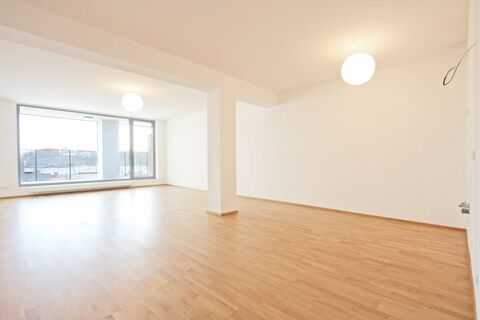 NEW APARTMENT FOR A GREAT PRICE!