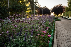 Riegrovy sady Riegrovy sady